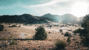 MADD Hunts Photography